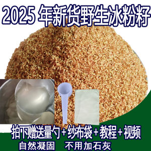 Wild Seed Tofu Xiaoli Fruit Hand Rubbed 500g Special Dry Goods Health Food from Jiangxi Province Chinese City of Ganzhou