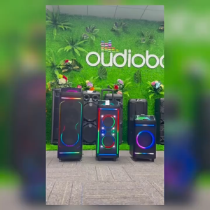 BK-26 Dual10 inch Heavy subwoofer RGB Bright pull rod sound outdoor high volume Dual microphone mobile Bluetooth speakers Bass/Treble/Echo  Wireless Microphone  Remote  Cord Charger FM Radio AUX-IN Free delivery of USB flash drives