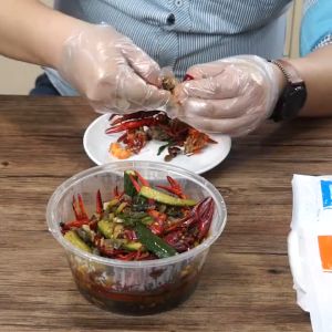 Set 100 Găng Tay Nhựa Dùng Một Lần Chất Lượng Cao Vật liệu PE tiêu chuẩn thực phẩm găng tay dùng một lần-HAUSE