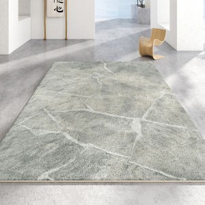AOVOC | Living and Bedroom Minimalist Modern Thick Carpet
