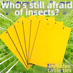 Fly Mosquito Fruit Fly Capture Double-sided Sticky Traps