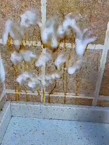Strong oil cleaning agent Heavy oil cleaning detergent range hood kitchen cleaning oil stain remover Rinse/厨房油污清洗剂去油神器