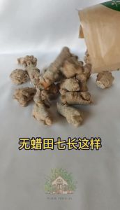 田七丸 | 100% 纯正 无蜡 田七 Acanthopanax notoginseng