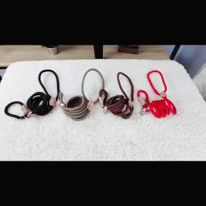 Dog Leash Slip Rope Lead Leash Heavy Duty Braided Rope Adjustable Loop Collar Training Leashes for Small Medium  Dogs