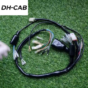Dây điện sườn xe 67 IC