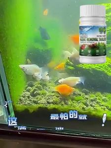 150 Tablets Fish Tank Algae Remover Aquarium Cleaner Rapid Green Water Treatment Algae Control Chips for Pond & Tank