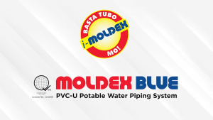 MOLDEX Blue PVC Fittings 1/2" Per Pack