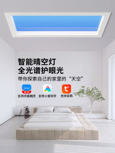 Smart Third Generation Kitchen Main Bedroom Hallway Sky Blue Light Integrated Simulation Sunlight Ceiling Lamp with Alexa Control
