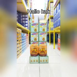Bird Toy Mainan Anak Cowok 2-3-6 Tahun Terbaru Mainan Burung Dalam Sangkar Bisa Bersuara
