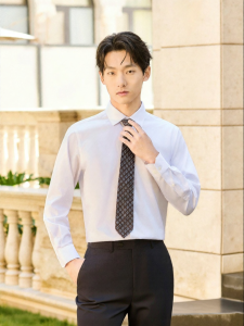 High-count Wrinkle-free Business Dress Shirt