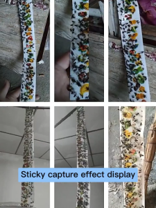 กาวสองหน้า กาวดักแมลงวัน แผ่นกาวดักแมลงวัน แผ่นติดแมลงวัน กาวแมลงวัน มัดละ 10แผ่น แผ่นติดแมลงวันเหนียว กาวแน่น กาวเต็มแผ่น มีสารล่อแมลง ดักแมลง เครื่องดักแมลงวัน กับดักแมลงวัน แผ่นกาว กาวดักแมลงหวี่ fly Sticky Tape