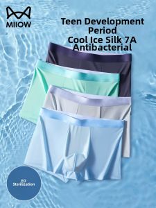 MiiOW | Disposable No-mark Ice Silk Male Underwear Travel-ready Hygiene