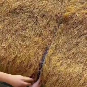 (2M Width)Synthetic Thatch Grass Roof Inch Mexican Yellow Artificial Straw Roll for Tiki Bar Hut Patio Party Palapa Resort beachThatch Roofing Decorations
