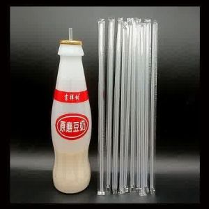 gumahus | Striped Disposable Straw 25cm