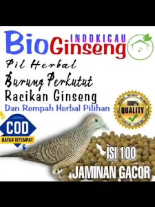 Pil Perkutut rajin Manggung dan menambah Mental jadi bagus ANDALASHOP