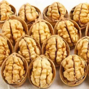 Fresh Thin Shell Walnuts For Pregnant 2.5kg
