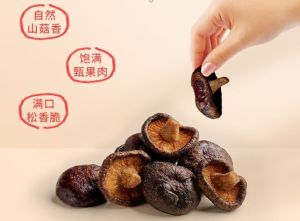 Crispy and Instant Mushroom Dried Snacks 101g 238g 香菇脆