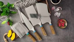 Forged Kitchen Knives-Set 67 Layers VG10 Damascus Steel Chef Knife for Meat Cutting Sushi Peeling and Boning colored Wood Handle
