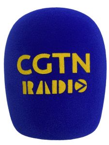 Blue Mantis Sponge Cover Interview Entertainment News Media Television Station Microphone Logo Mask Audio Video Accessories