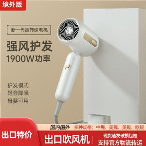 Portable 110V Electric Hair Dryer BLADEN Brand High Power 1900W Constant Temperature Protection for All Hair Types