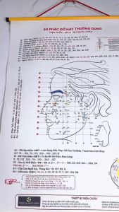 Tranh 54 Phác Đồ Diện Chẩn ( Combo 2 tranh mặt chính diện + mặt nghiêng ) - Dụng Cụ Diện Chẩn