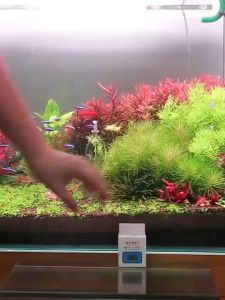 【DDC AQUA】Aquarium Digital Thermometer 0-50°C