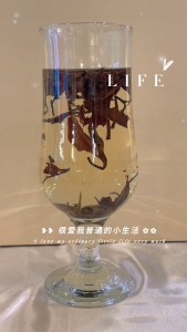 DOU MINGJU斗茗居 Selection Fuding Aged White Tea Loose Leaf Aged Shou Mei Mild & Smooth Daily Tea