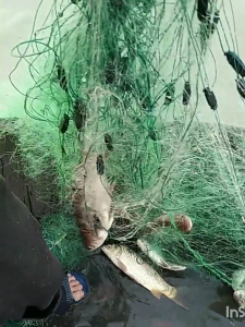 [COD]Fish Net Nylon Floating Sticky Net Fish Lambat Fishing Net100M with Durable Pull Cord