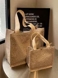 Large Capacity Commuter Tote Bag Womens 2025 New Style Single Shoulder Handbag for Class Fashionable Korean Style Canvas Bag