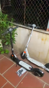 Xe Trượt Scooter ALS A5D [ Hàng Nhập Khẩu Chính Hãng ] ( 2 Màu )