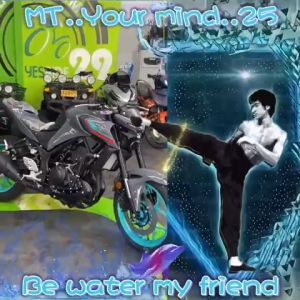 YAMAHA MT-25