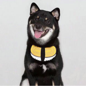 Adorable Pet Scarf for Cats And Dogs Yorkie Shiba Inu Cute Puppy Neck Warmer Bandana Pet Accessories Clothing Pet Supplies