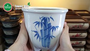 Pot Bonsai Keramik Bundar Tinggi Kaktus Sukulen