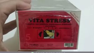Vita Stress Vitamin untuk Anak Ayam Burung dan Bebek