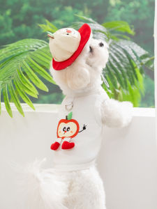 hipidog | Quần Áo Chó Thời Trang Mới