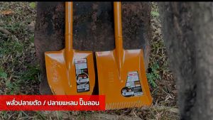 พลั่ว พลั่วปลายตรง พลั่วตักหิน พลั่วตักดิน พลั่วตักทราย (ด้ามเหล็ก) ยี่ห้อ มาร์ตัน MARTON รุ่น.ปลายมีลอน สีชมพู (สินค้าแท้ 100%) by JHW2