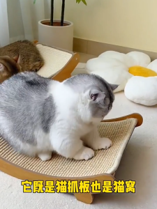 Sisal Cat Scratch Board 2in1 Large Size Cat Scratching Board Wear-Resistant Non-Chip Anti-Scratching Sofa Protection Cat scratcher Board Cat Nest Integrated