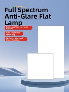 TONGZHIGUANG | Kitchen & Bathroom Integrated LED Ceiling Light