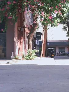 Temporary Parking Phone Number Dashboard Display