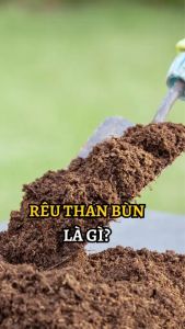 Túi 500Gr/Túi 1Kg Rêu than bùn Peatmoss -Thương hiệu Peatman- Giá thể trồng cây chất lượng cao | Độc quyền Family Garden