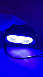 [BUY5FREE1] Forklift LED Warning Light / Safety Light / Oval Type /  20W (Blue)