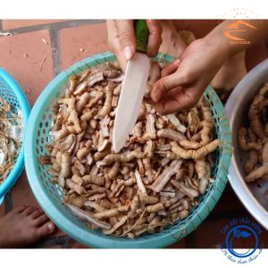 Ba kích tím tươi đã làm sạch bóc tách bỏ lõi hút chân không củ ba kích rừng ngâm rượu thượng hạng vùng núi cao Tây Bắc