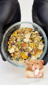 [24HR SHIP] CARINO PETS PREMIUM HAMSTER SUPERFOOD 400G Hamster Food Gerbil Food Pet Feed仓鼠 饲料 蔬菜谷粮 Makanan Hamster