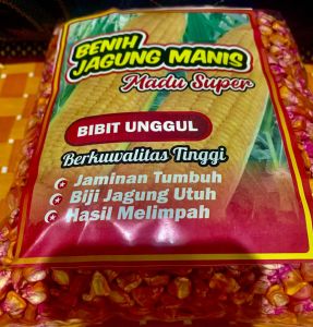 500 GRAM BENIH JAGUNG MANIS SUPER UNGGUL SIAP TANAM