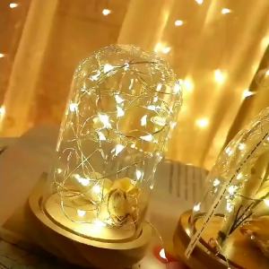 Battery Powered LED Fairy Wire String Light with Remote Birthday Wedding Garland Lamp Garden Camping Home Bedroom Decoration