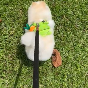 Po&Co Durable Pet Self Carry Backpack Turtle Shape Bag Adjustable Belt Puppy Backpack Cartoon Portable Harness Dog Outdoor Snack Bag