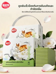 hipidog | Absorbent Deodorizing Puppy Training Urine Pad