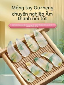 Chuyên Nghiệp Guzheng Dải Móng Tay Thiết Kế Vòng Cung Đôi Kích Thước Người Lớn Cho Hiệu Suất Cao Cấp Lưu Trữ Bảng Rùa Vỏ Lớp Ngoài Màu