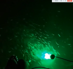 Lampu bawah air Persediaan Menarik Ikan Lampu LED Dalam Air Umpan Ikan Umpan Cahaya untuk Memancing