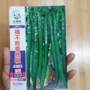 Hạt giống ớt xanh dài hạt giống nhập khẩu nội địa Trung y hình shop đăng - Hoang My food and beauty